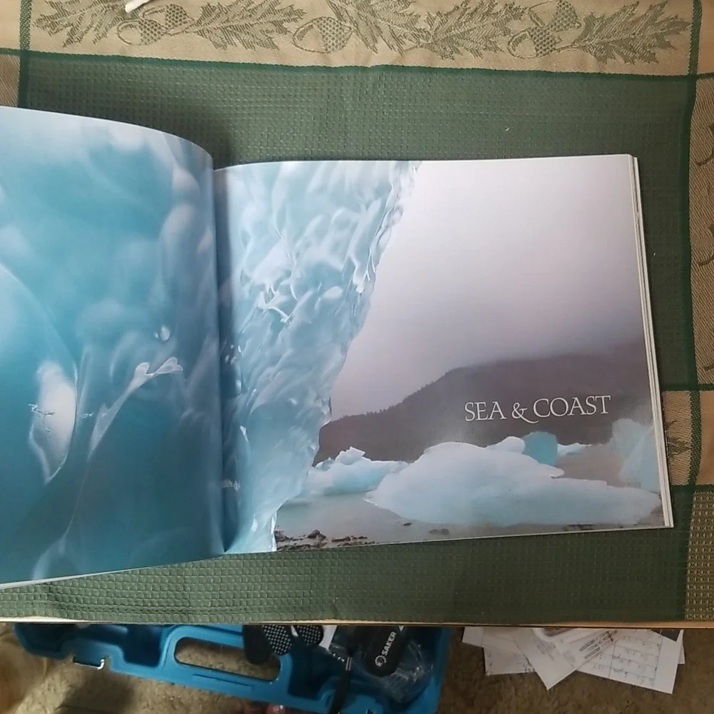 ⭐ALASKA BOOK - Picture 6 of 9